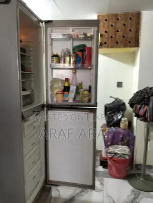 Electra Fridge for Sale
