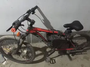 Electric Bicycle