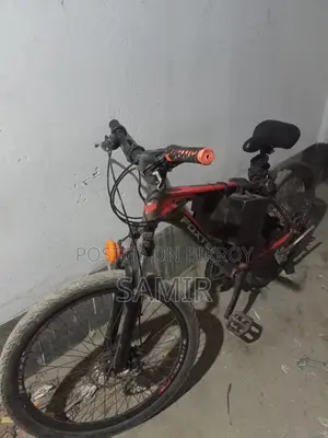 Electric Bicycle