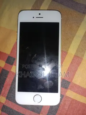 Apple iPhone 5S ` (Used)