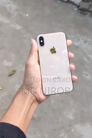 Apple iPhone XS 256 (Used)