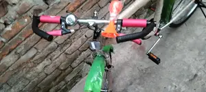 Attractive Duronto Bicycle