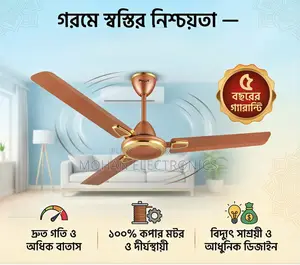 পাঞ্জাব সিলিং ফ্যান — গরমে স্বস্তির এক নাম!