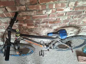 Bicycle for Sale