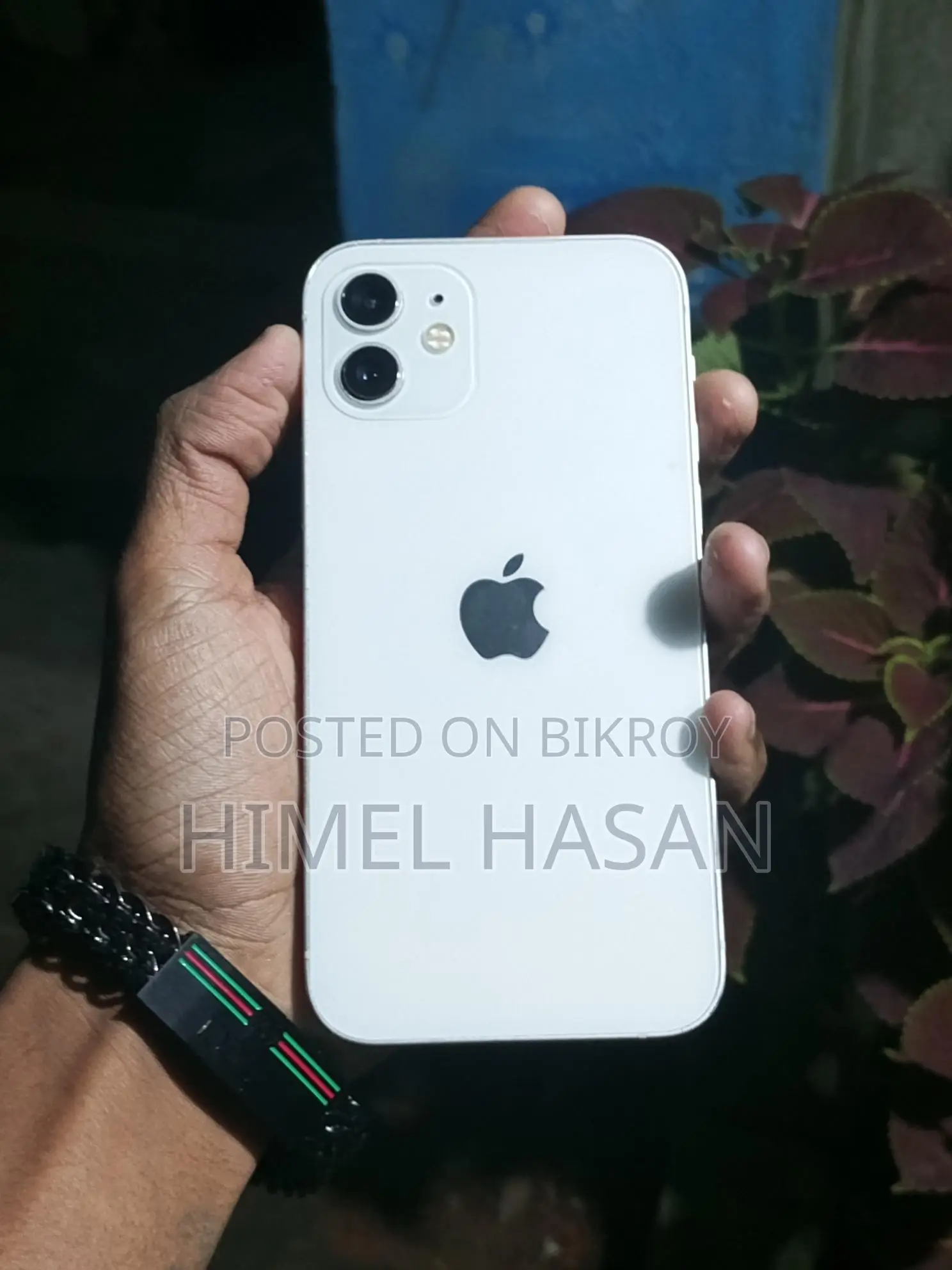 Apple iPhone 12 (Used)