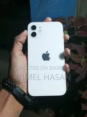 Apple iPhone 12 (Used)