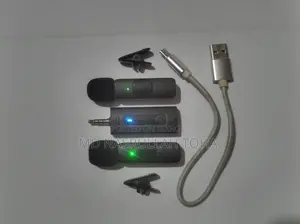 Journalist Microphone