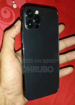 Apple iPhone 12 Pro 256GB (ব্যবহৃত)