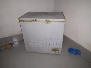 ভালো ডিপ ফ্রিজ