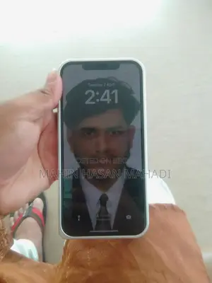 Apple iPhone 12 Pro Max Alhamdulillah feres (Used)