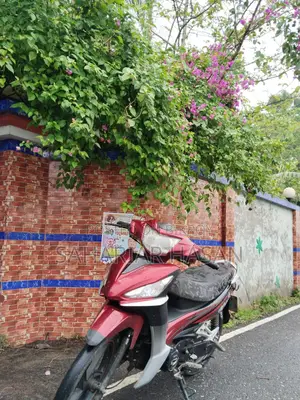 Runner Kite plus 2019