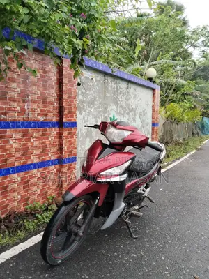 Runner Kite plus 2019
