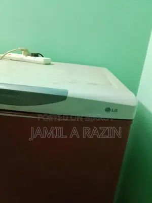 LG Fridge only