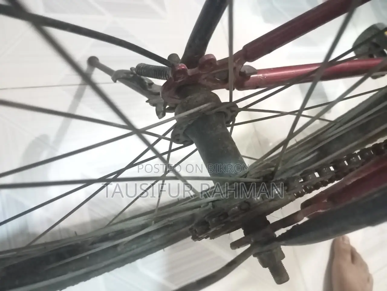 Seventy One Cycle