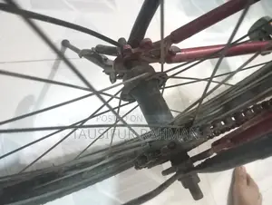 Seventy One Cycle