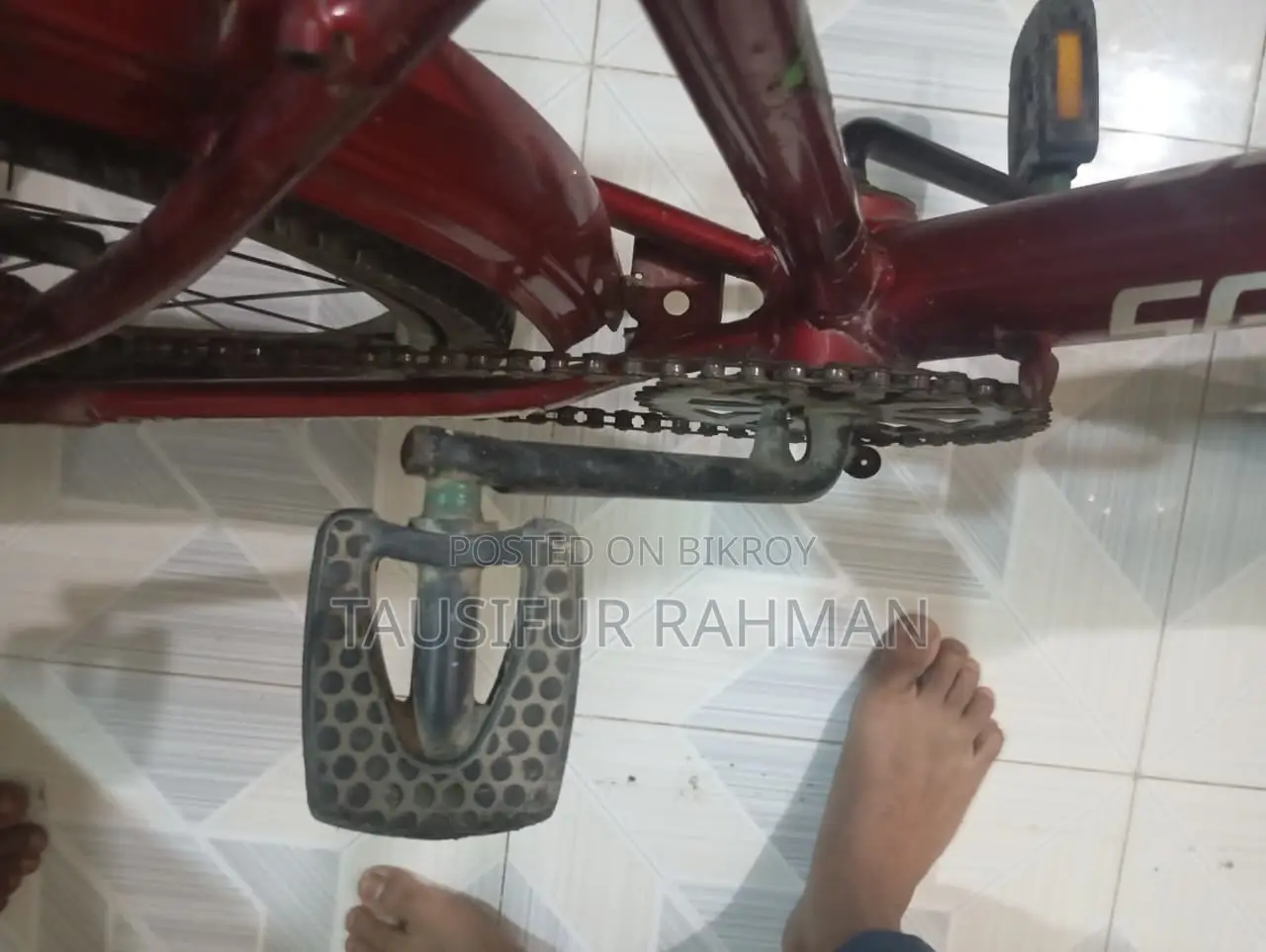 Seventy One Cycle