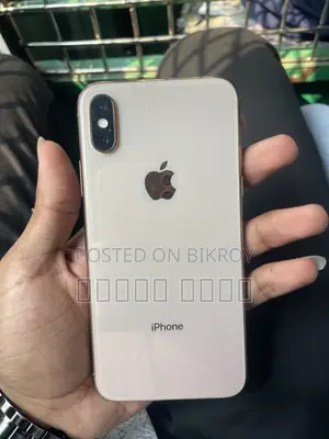 Apple iPhone XS 256 (Used)