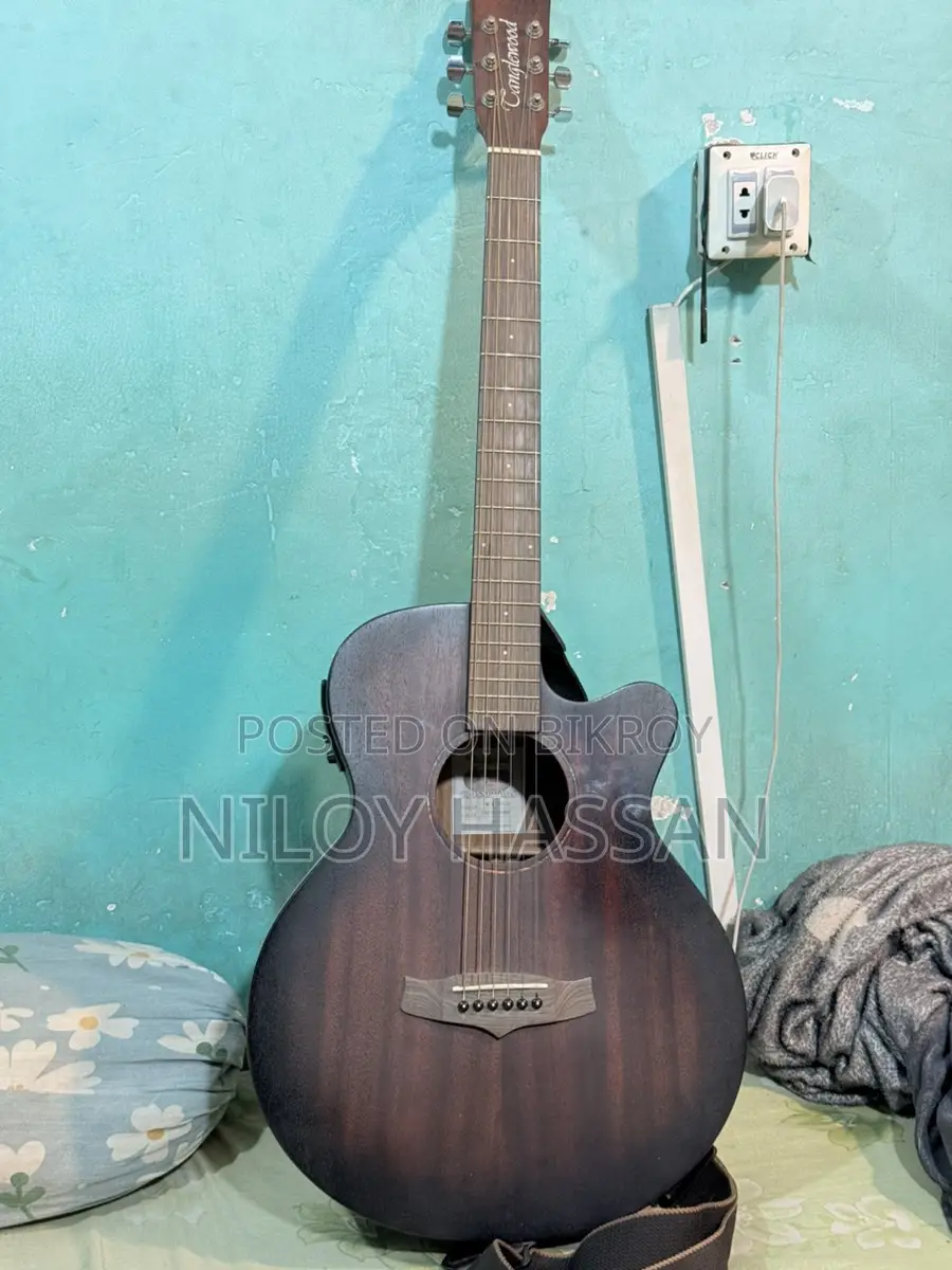 Tanglewood Twcr Sfce Electro Guitar Da’ddario Strings Installed.