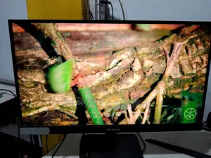 22 Inch More dag IPS Borderless Monitor