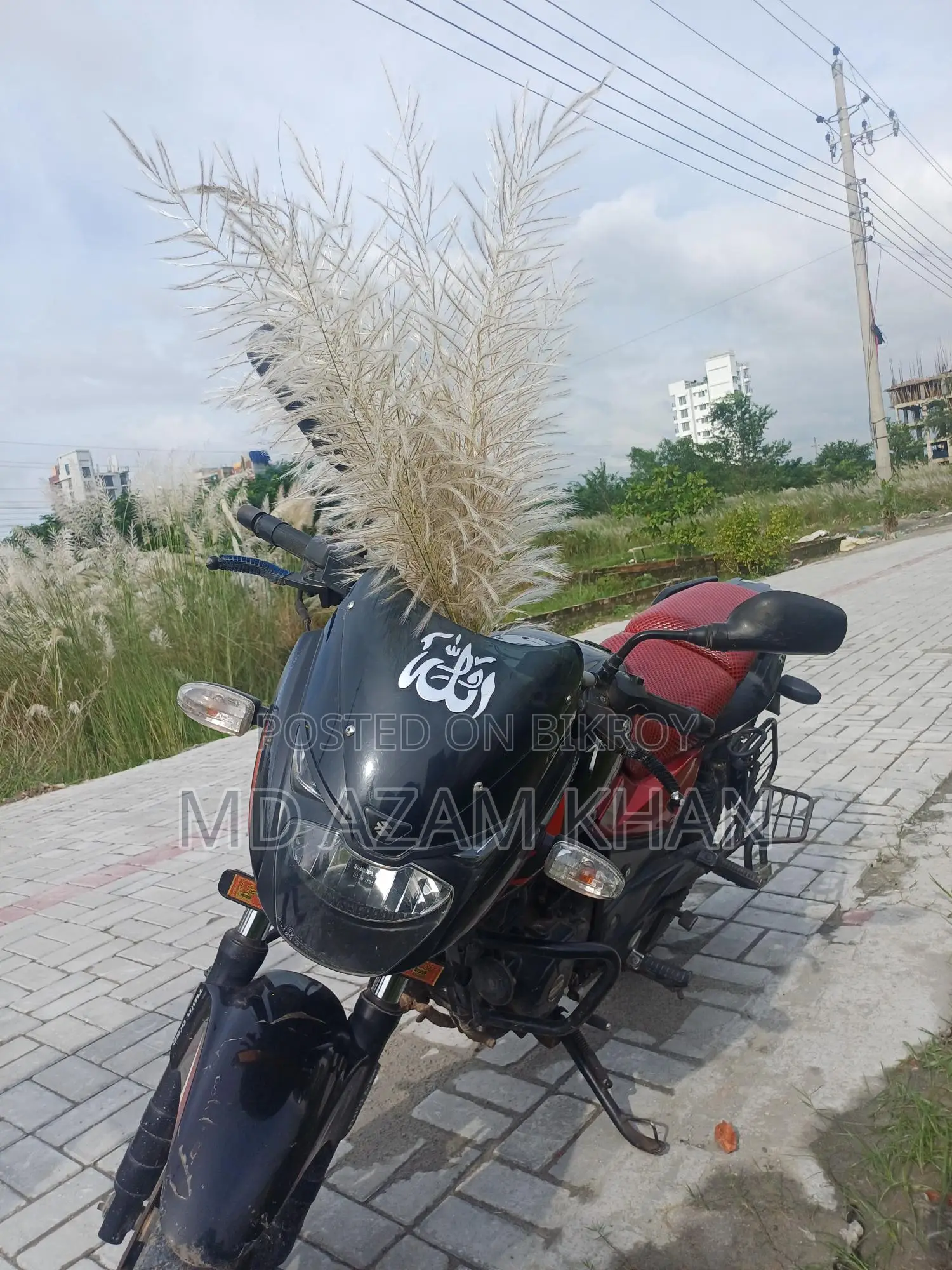 Bajaj Pulsar 150 2019