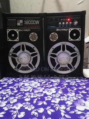 Micrologic Sound System