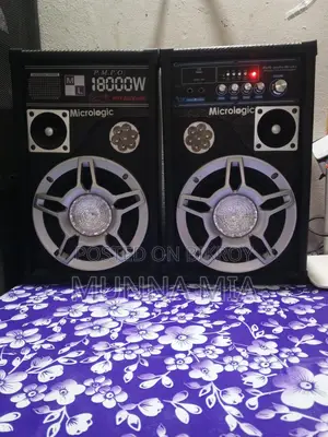 Micrologic Sound System