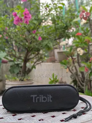 Tribit Xsound Go