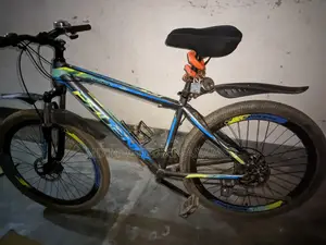 Phoenix Bicycle for sale