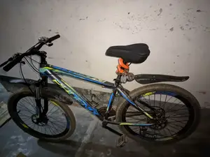 Phoenix Bicycle for sale