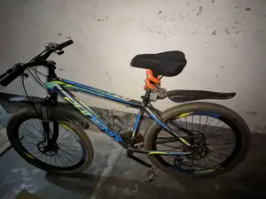 Phoenix Bicycle for sale