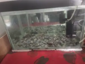 Aquarium, stand Plus Water Heater For Sale