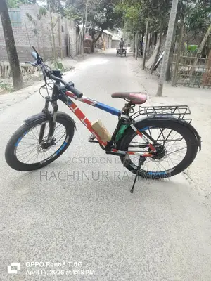 Electric Bicycle