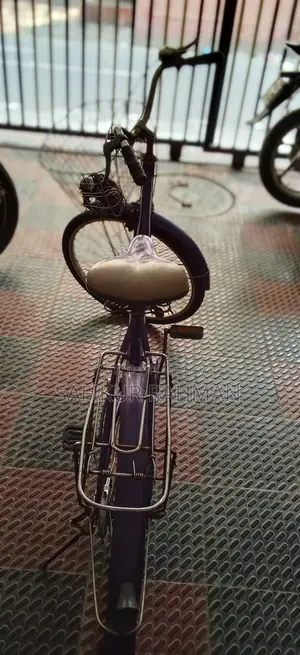 Stylish "frozen Queen" Ladies Bicycle – Excellent Condition