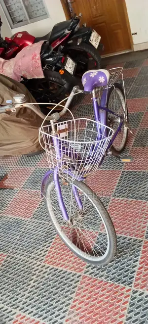 Stylish "frozen Queen" Ladies Bicycle – Excellent Condition