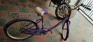 Stylish "frozen Queen" Ladies Bicycle – Excellent Condition
