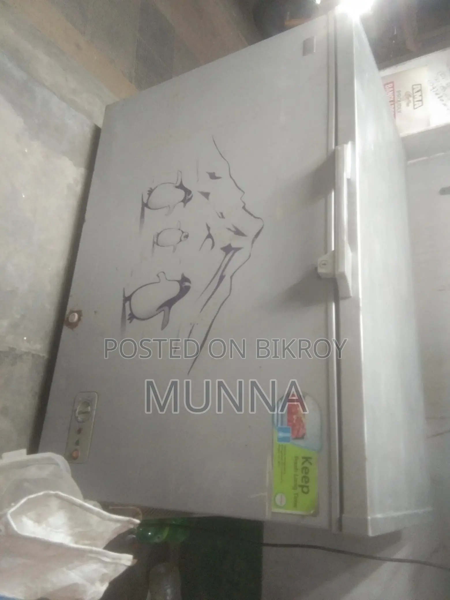 350 Liter Freezer