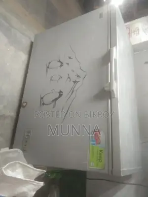 350 Liter Freezer