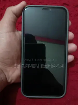 Apple iPhone X 256gb (Used)