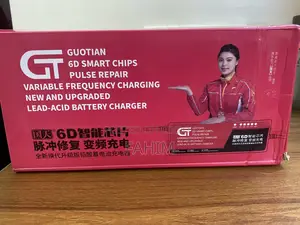 Auto Mishuk Fast Charger