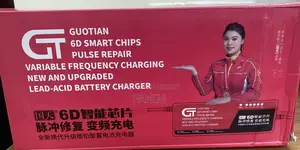 Auto Mishuk Fast Charger