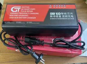Auto Mishuk Fast Charger