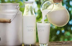 Cow Milk for Sale