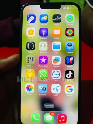 Apple iPhone 13 Pro Max (Used)