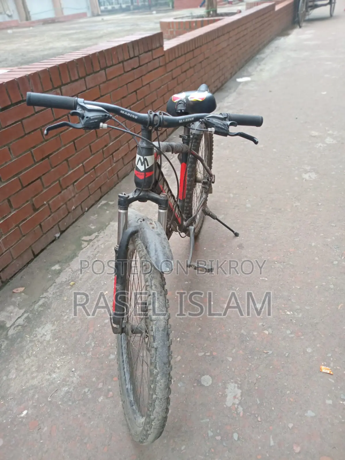 Marine Mountain Bike