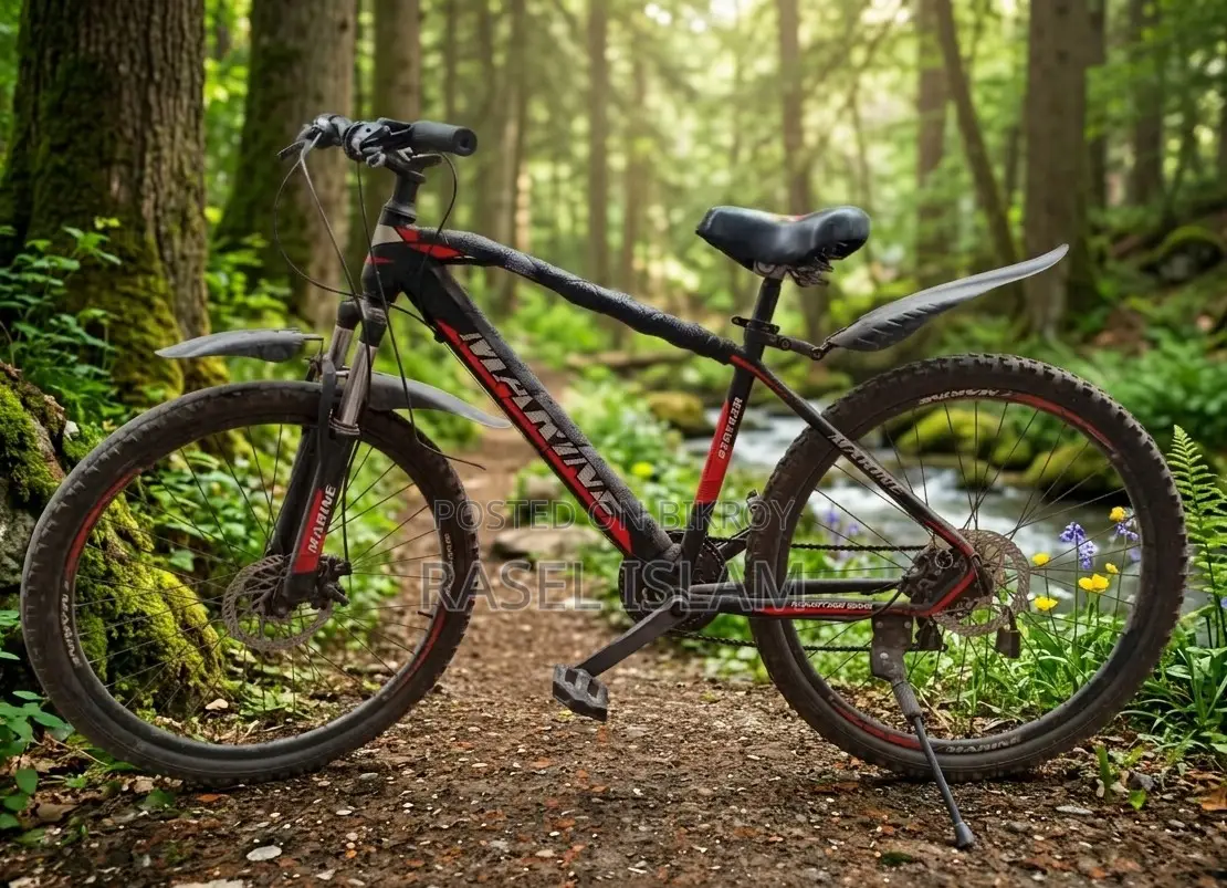 Marine Mountain Bike