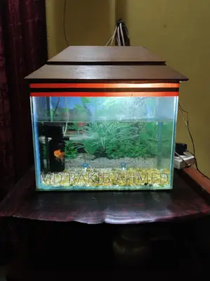 একুরিয়াম