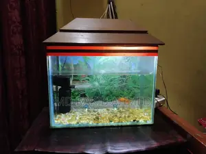 একুরিয়াম