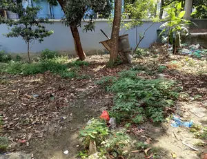 Land for Sale Near Market