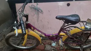 Excellent Bicycle