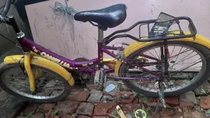 Excellent Bicycle